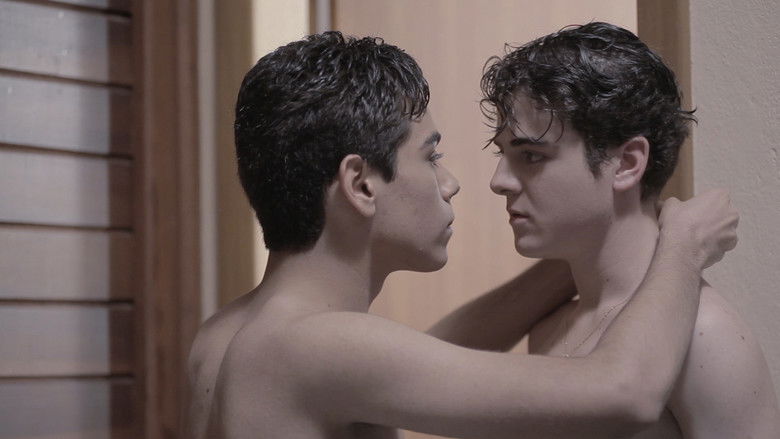 Backdrop image for movie While There Is Still Time