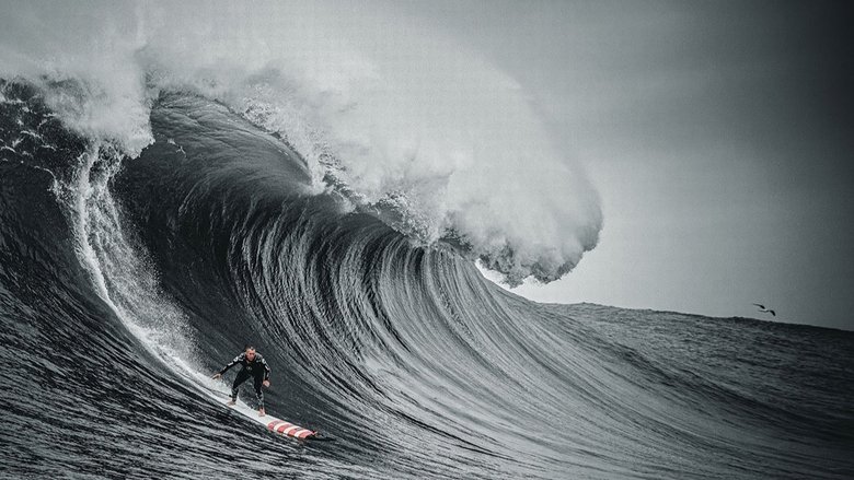 Backdrop image for movie The Secret Life of Waves