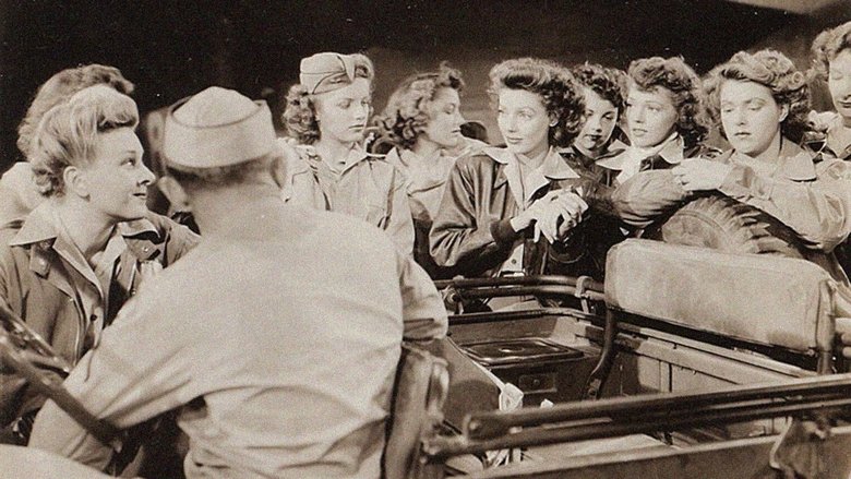 Backdrop image for movie Ladies Courageous