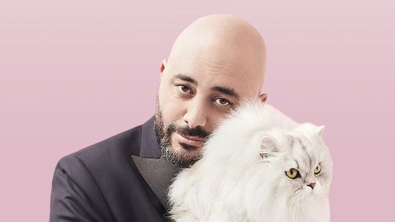 Backdrop image for movie Jérôme Commandeur - Toujours en douceur