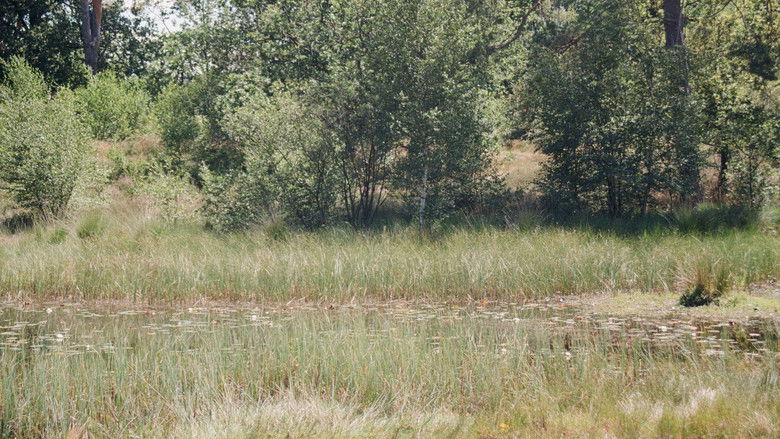 Backdrop image for movie En Plein Air