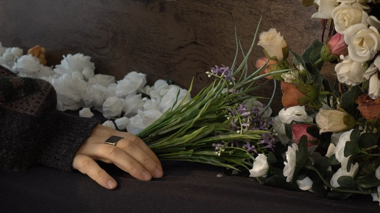 Backdrop image for movie Meus Sentimentos