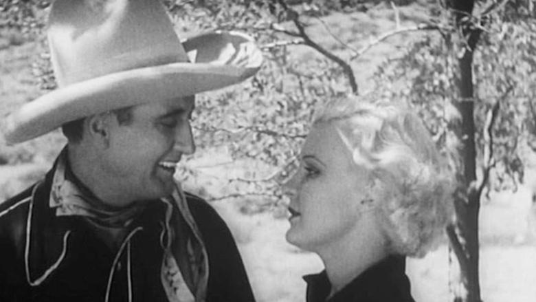 Backdrop image for movie Desert Mesa