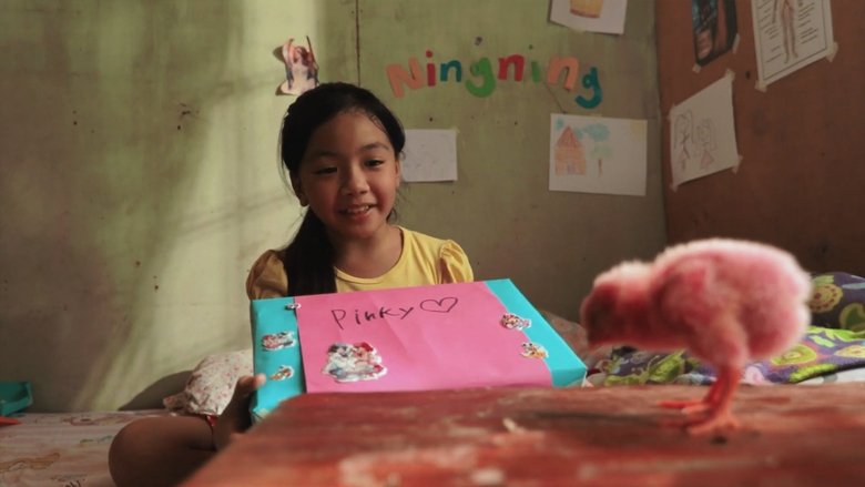 Backdrop image for movie Ang Pink na Sisiw ni Ningning