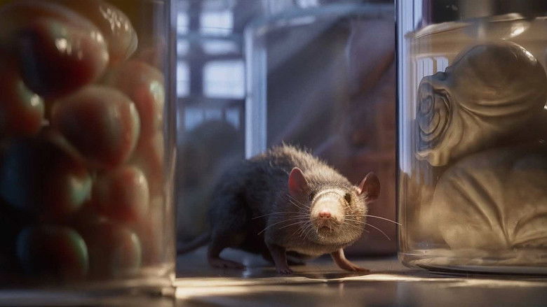 Backdrop image for movie Experiment