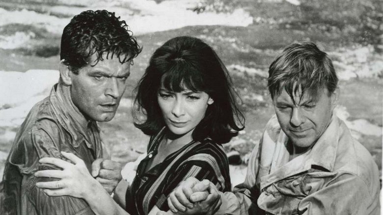 Backdrop image for movie The Big Gamble