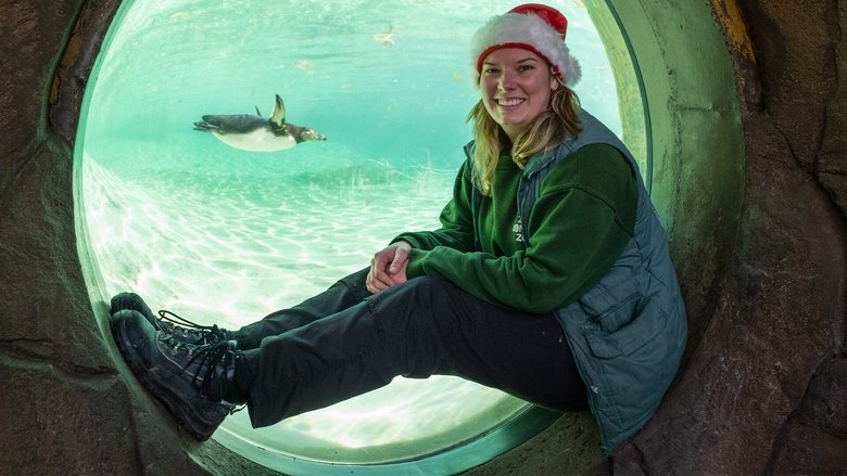 Backdrop image for movie London Zoo at Christmas