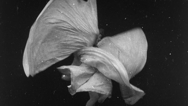 Backdrop image for movie Serpentine Dance by Mme. Bob Walter