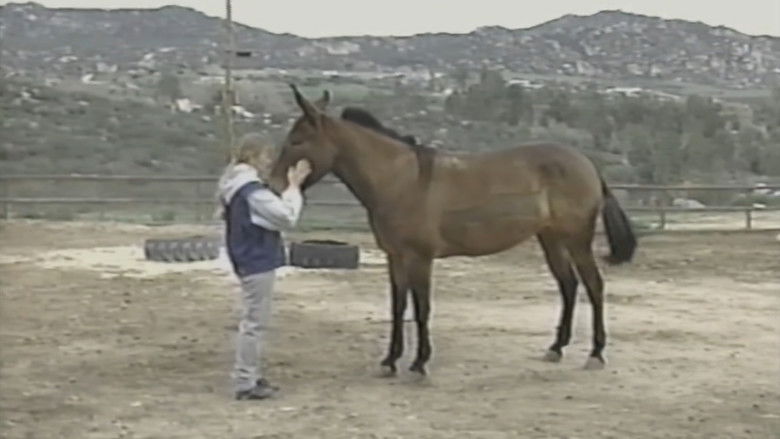 Backdrop image for movie The Psychic Connection