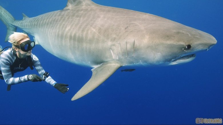 Backdrop image for movie Saving Jaws