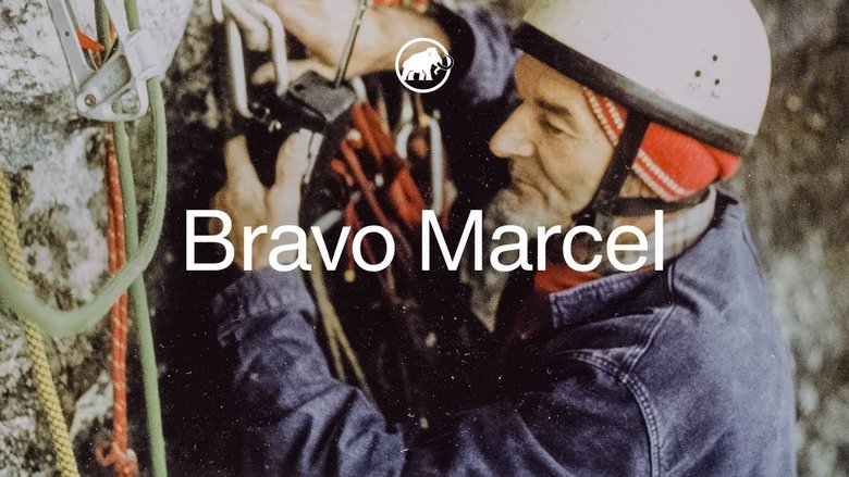 Backdrop image for movie Bravo Marcel