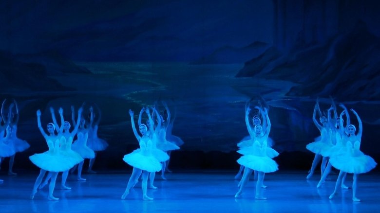 Backdrop image for movie Swan Lake