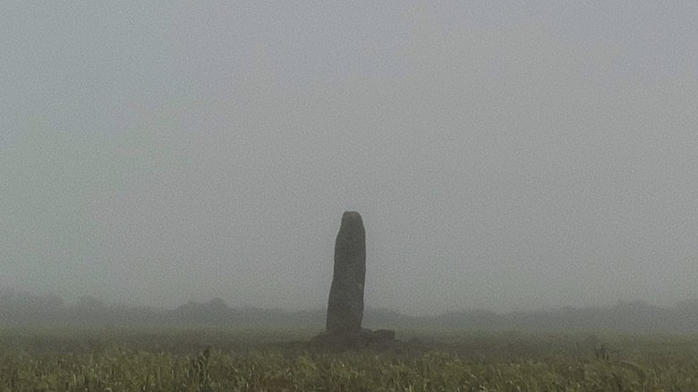 Backdrop image for movie A Year in a Field