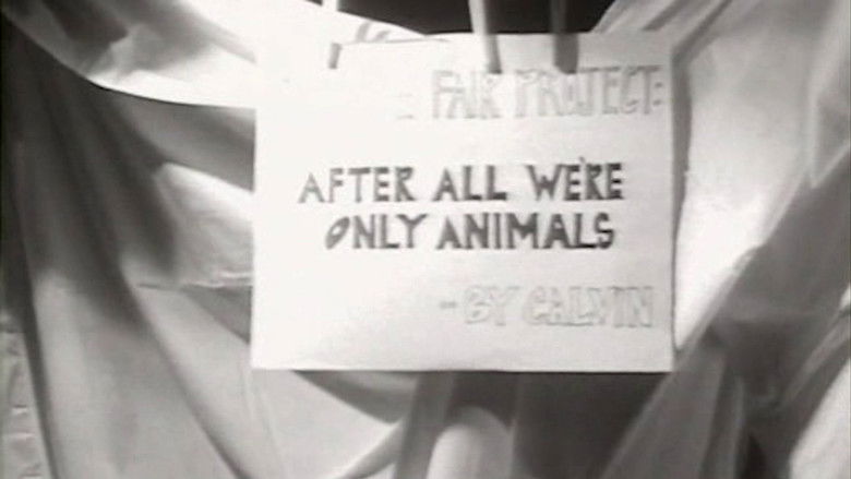 Backdrop image for movie After All