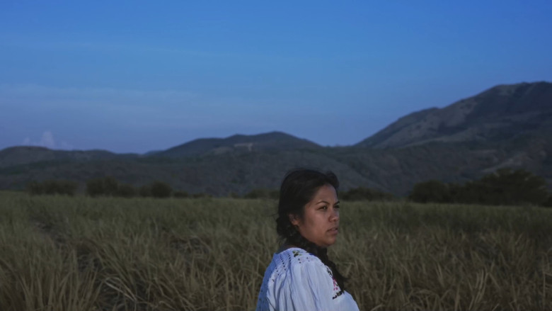 Backdrop image for movie Elena