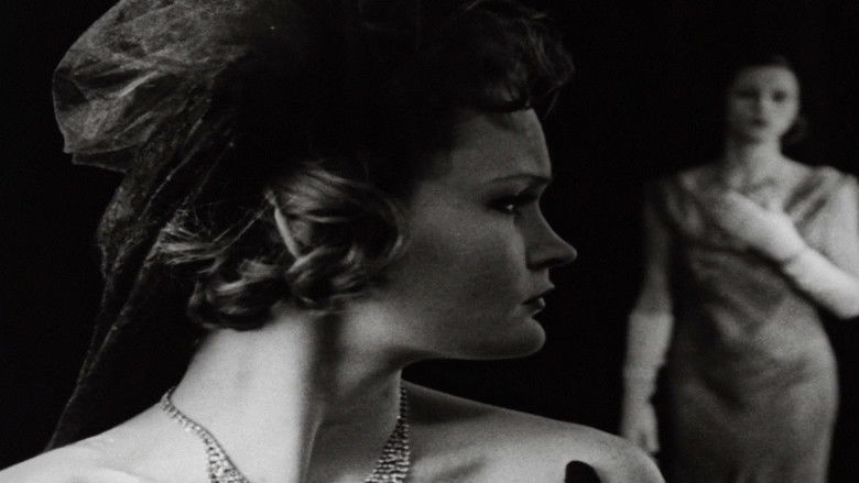 Backdrop image for movie La Divina