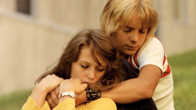 Backdrop image for movie The Stone Face