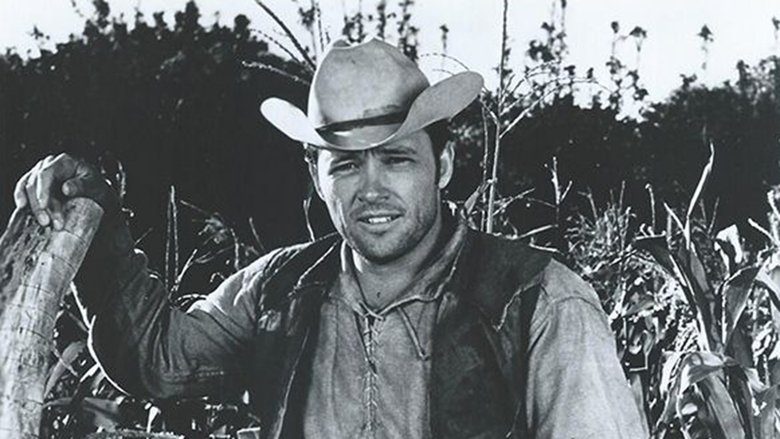 Backdrop image for movie Sancho, the Homing Steer