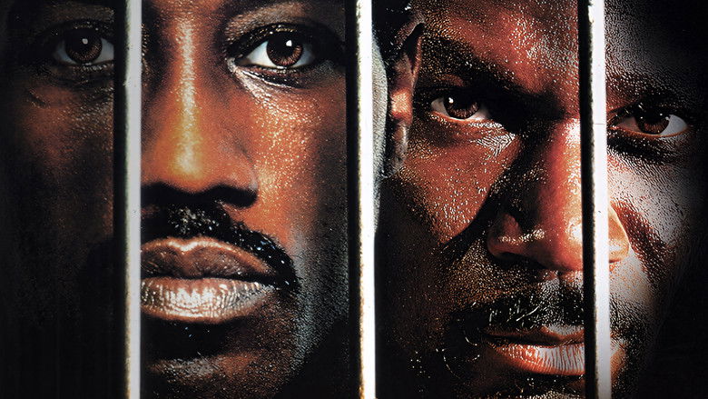 Backdrop image for movie Undisputed