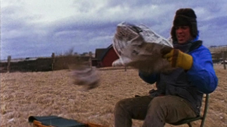 Backdrop image for movie Suêtes