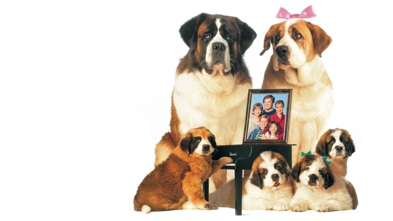 Backdrop image for movie Beethoven's 2nd