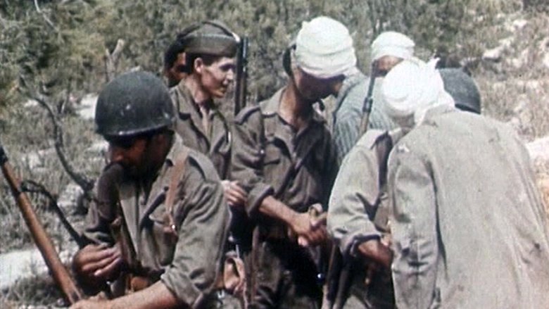 Backdrop image for movie Algeria in Flames