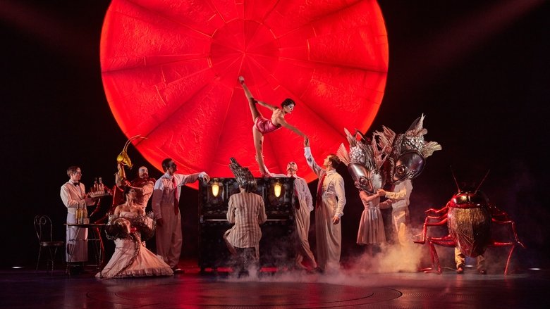 Backdrop image for movie Cirque du Soleil: Luzia