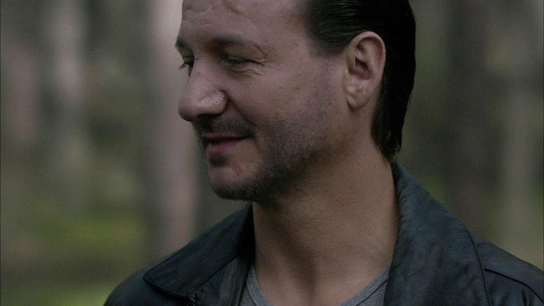 Backdrop image for movie The Crown Witness