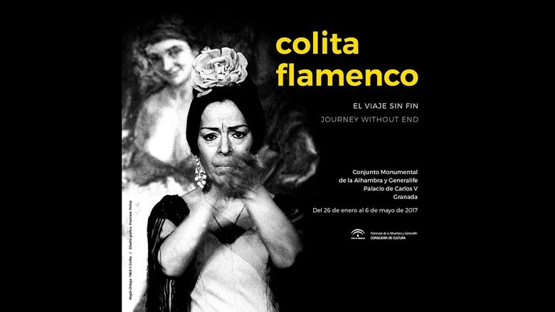 Backdrop image for movie Colita: El viaje sin fin