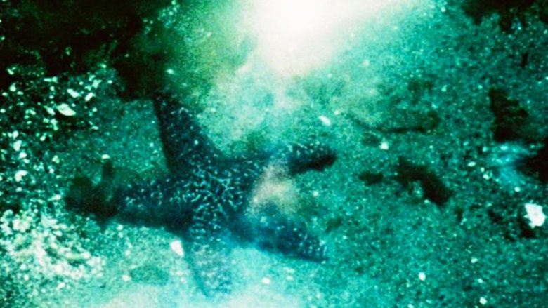 Backdrop image for movie A Child’s Garden and the Serious Sea
