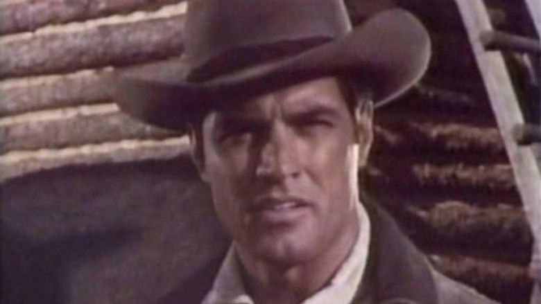 Backdrop image for movie Cutter's Trail