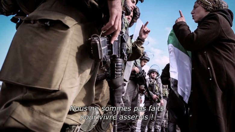 Backdrop image for movie Beyond the Frontlines: Resistance and Resilience in Palestine