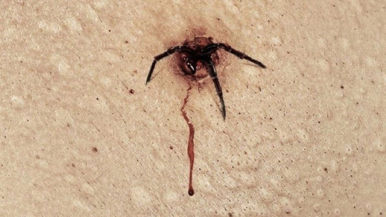 Backdrop image for movie The Plague