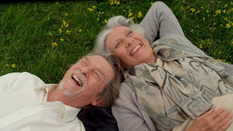 Backdrop image for movie Love at First Sight