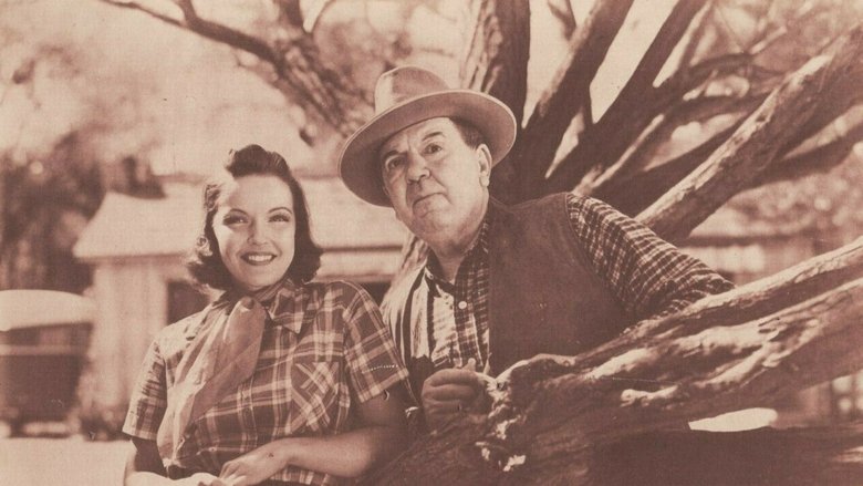 Backdrop image for movie Durango Valley Raiders