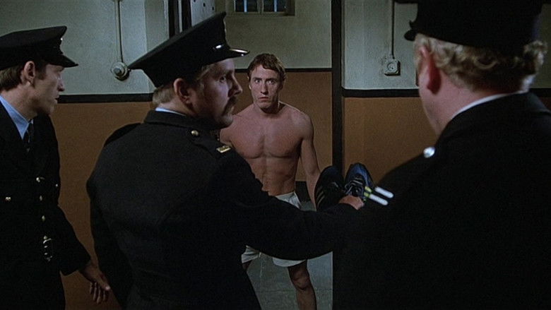 Backdrop image for movie McVicar