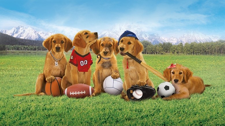 Backdrop image for movie Air Buddies