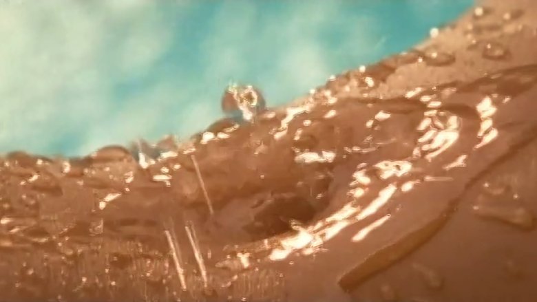 Backdrop image for movie Playboy: Wet & Wild V