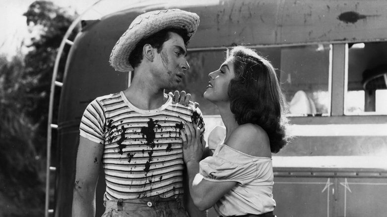 Backdrop image for movie Mexican Bus Ride