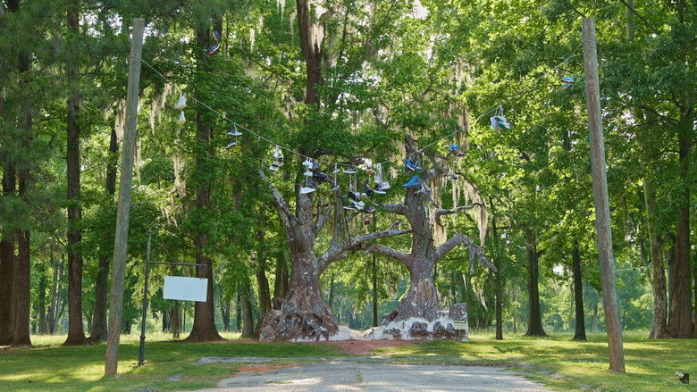 Backdrop image for movie Spectre