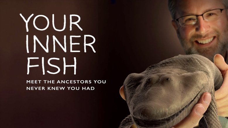 Backdrop image for movie Your Inner Fish