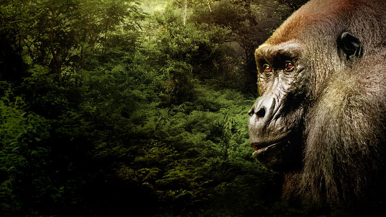 Backdrop image for movie Gorillas Close Up