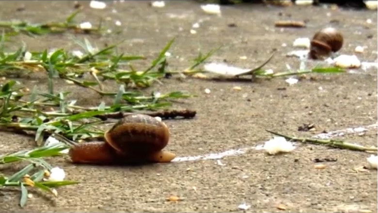 Backdrop image for movie Hurto Libre