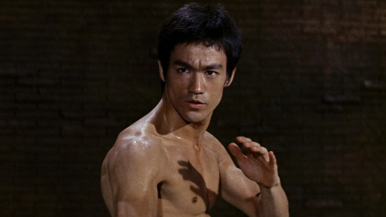 Backdrop image for movie The Way of the Dragon