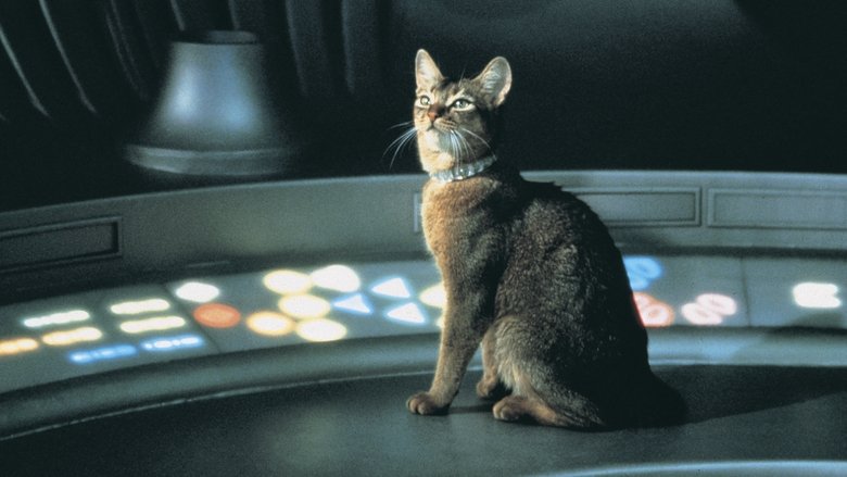 Backdrop image for movie The Cat from Outer Space