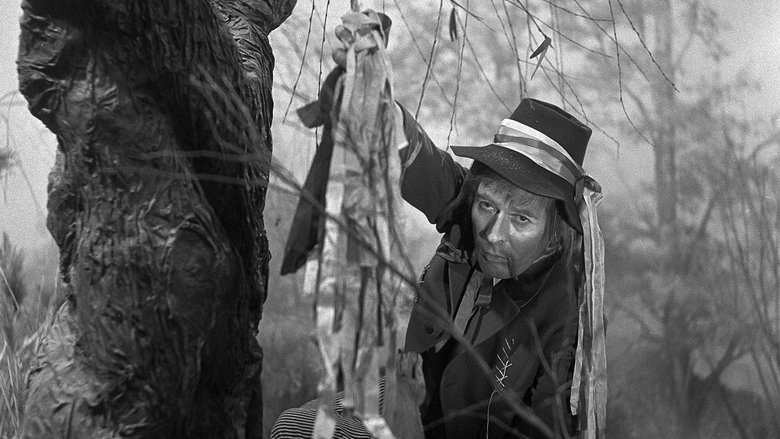 Backdrop image for movie Jak se stal hastrman v Rokytnici ševcem