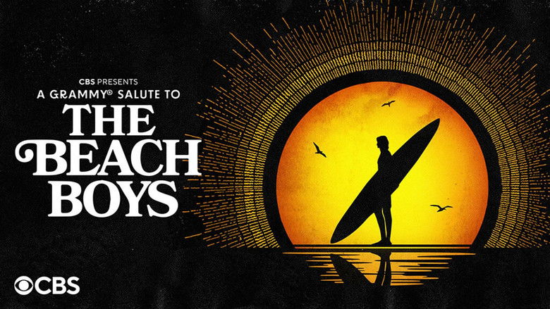 Backdrop image for movie A Grammy Salute to The Beach Boys