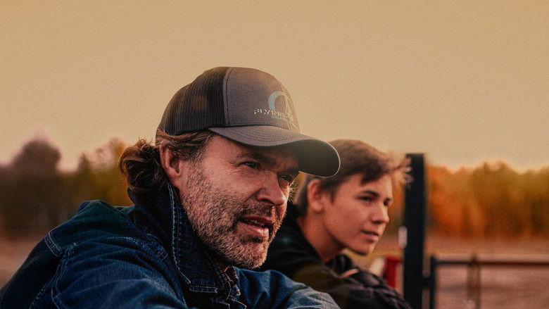 Backdrop image for movie Guitar Lessons