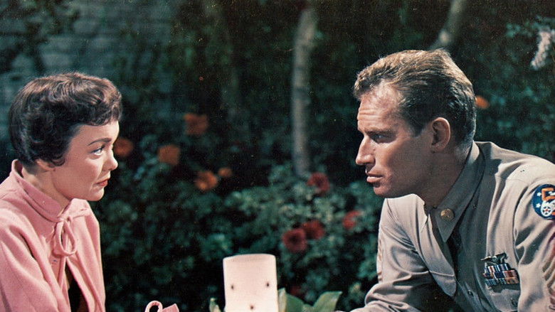 Backdrop image for movie Lucy Gallant