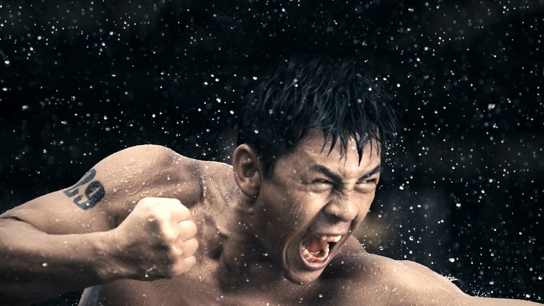 Backdrop image for movie The Wrath of Vajra